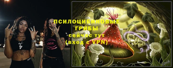 прущая мука Алексеевка